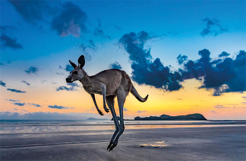 Bild-Australien-7-26.jpg