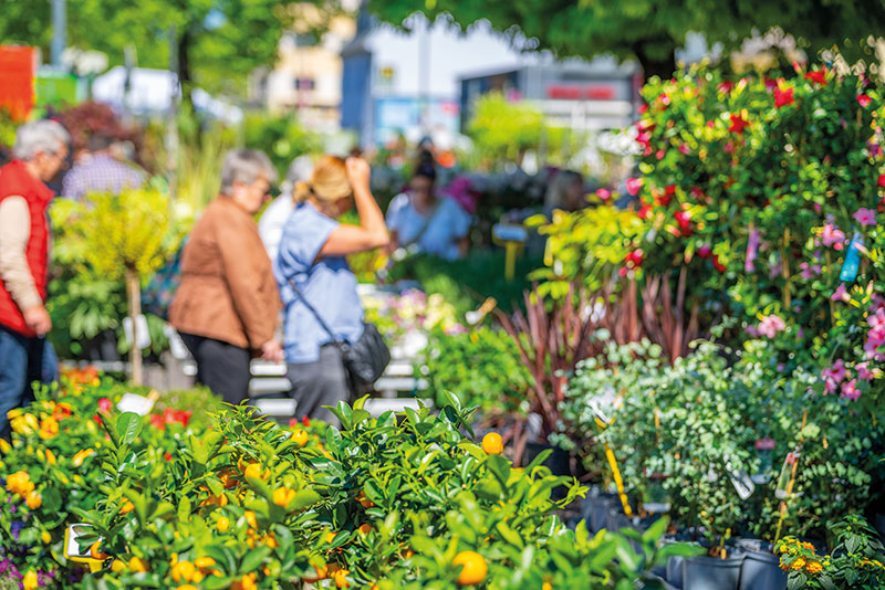 Bild-gartenmarkt-neuwied-c-Patrick-Gawandtka-2-26.jpg