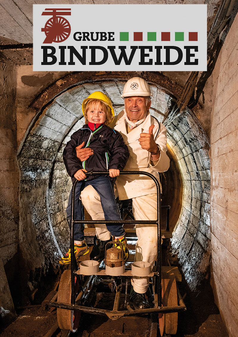 Bild-Grube-Bindweide-5-21.jpg