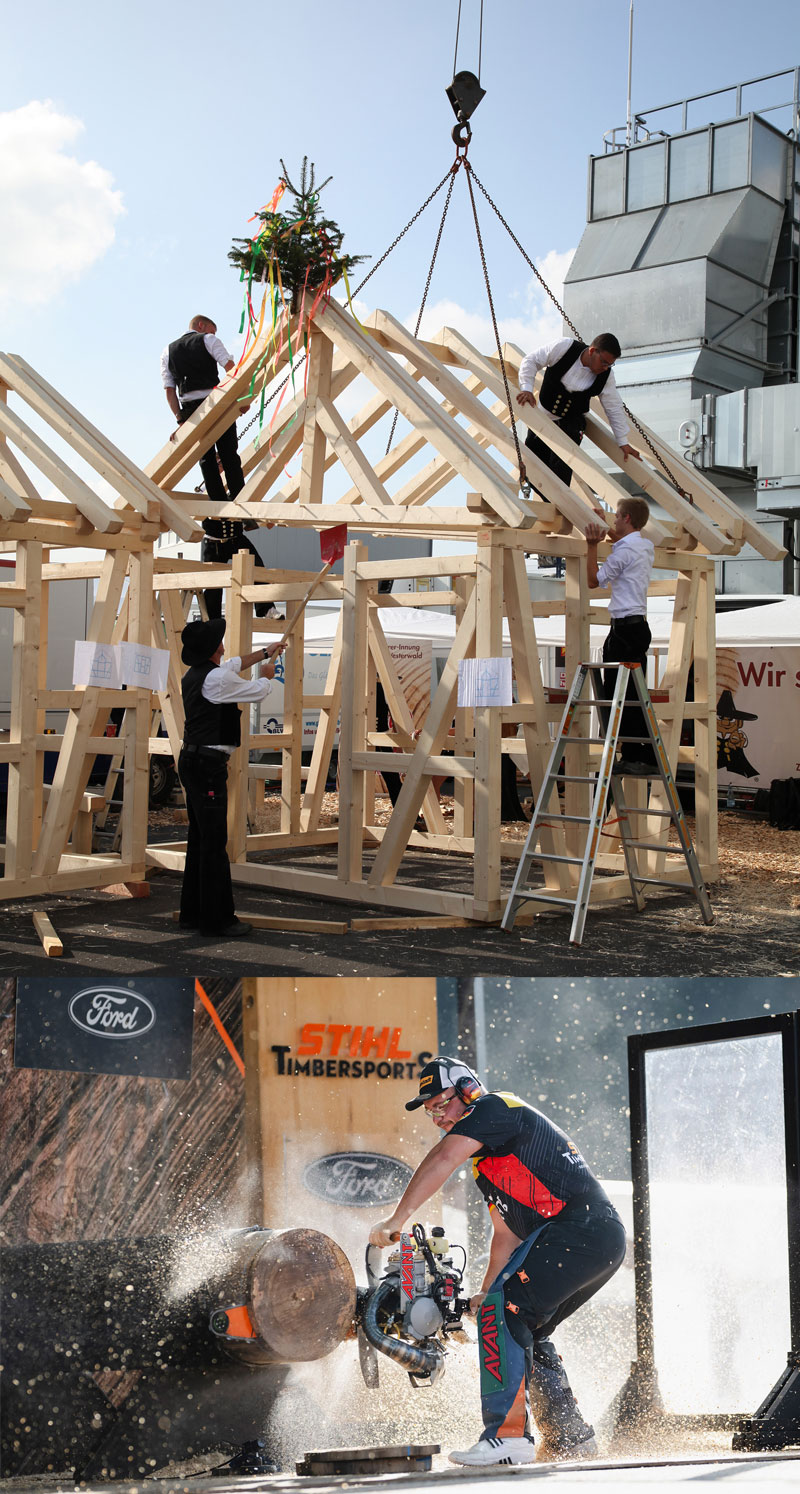 holztage-bild-4.jpg