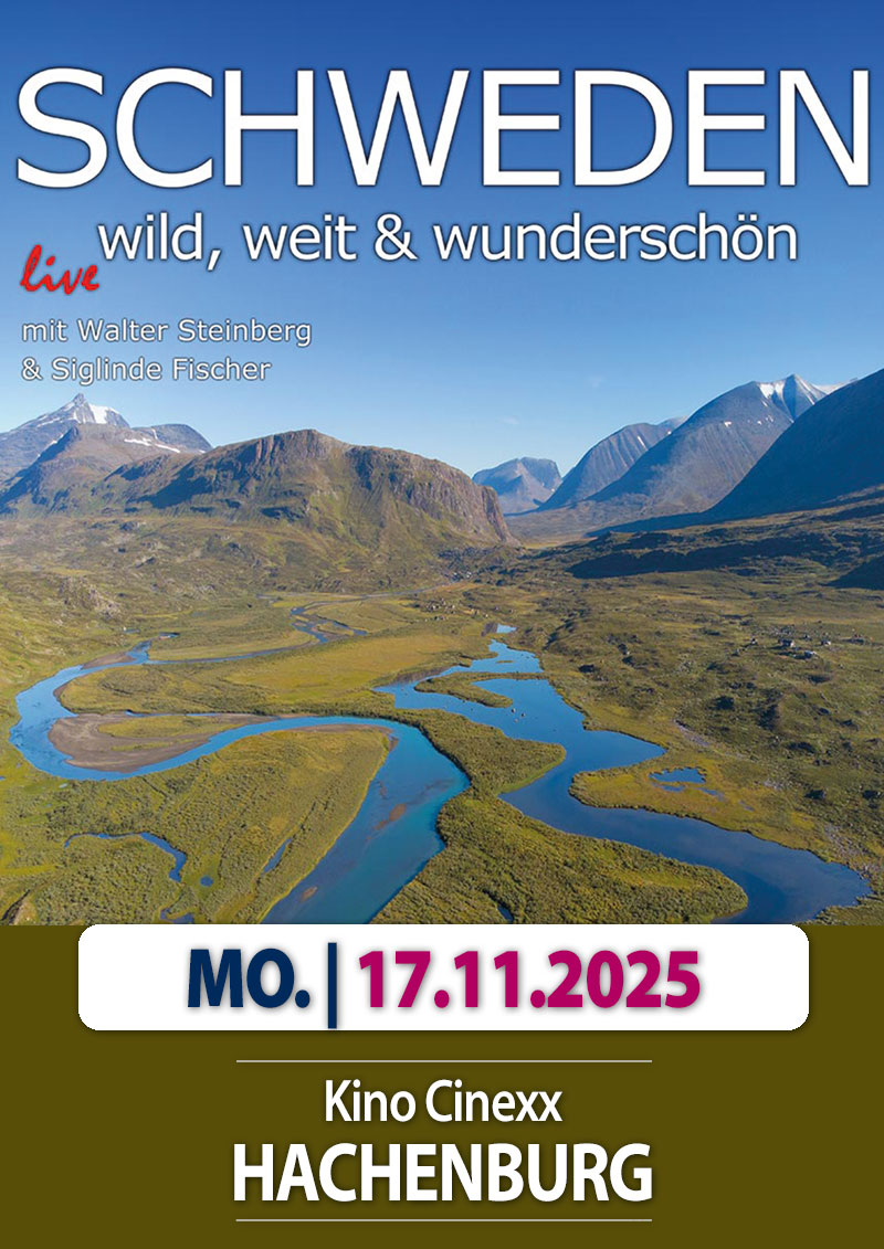 Plakat-Lang-Way-Home-231023.jpg